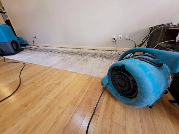 Professional Water Removal technician working in Cedar Grove, FL